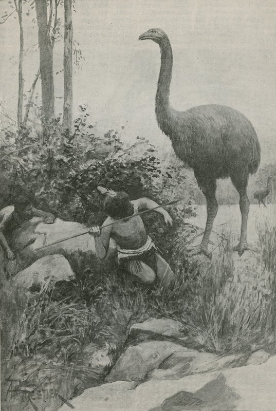 Un habitante extinto de Nueva Zelanda de English School