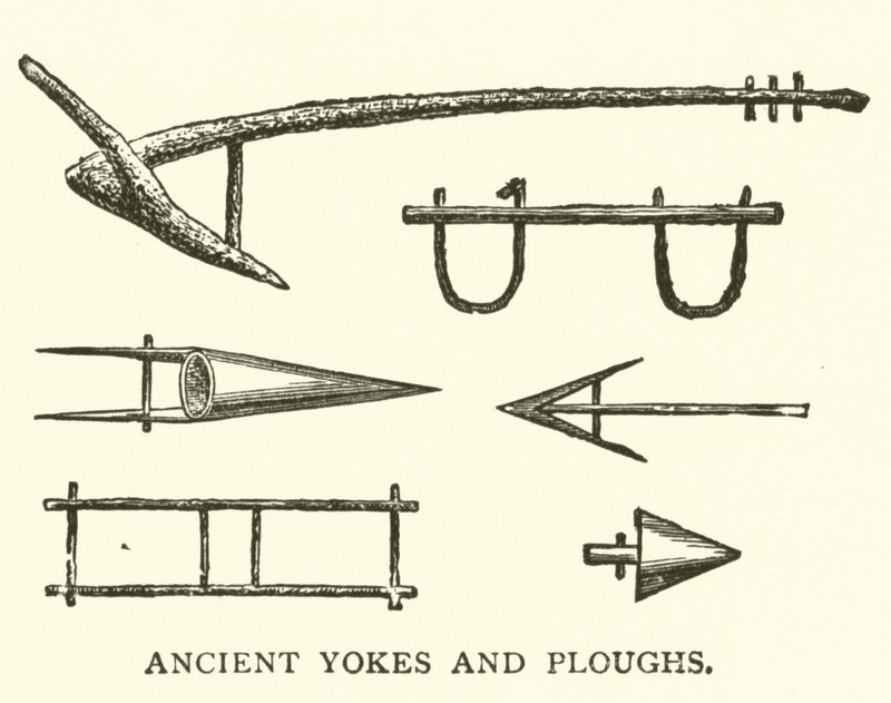 Yugos y arados antiguos de English School
