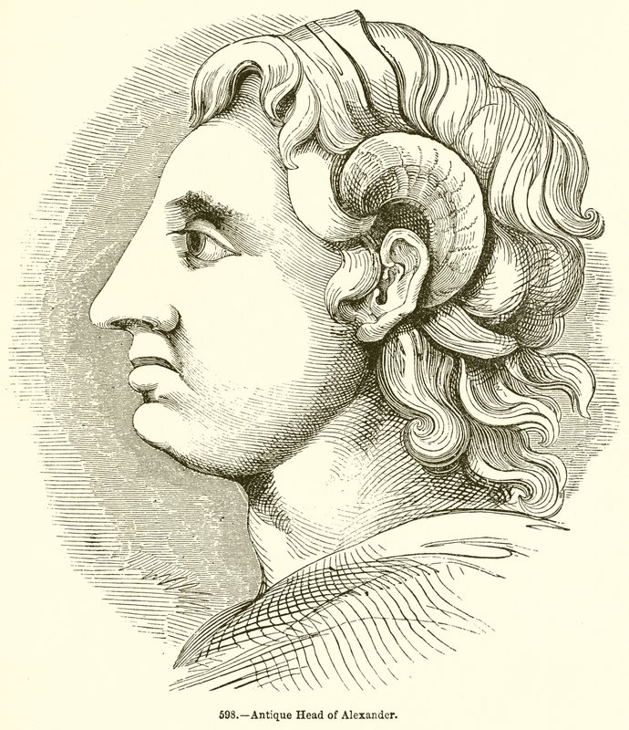 Cabeza antigua de Alejandro de English School