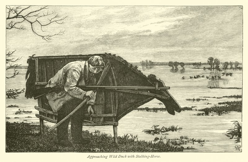 Aproximación al Pato Salvaje con Caballo de Acecho de English School