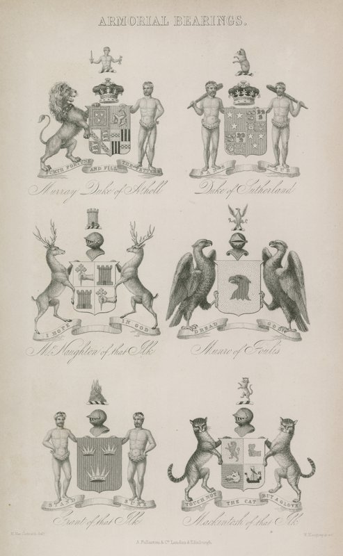 Escudos de armas de English School