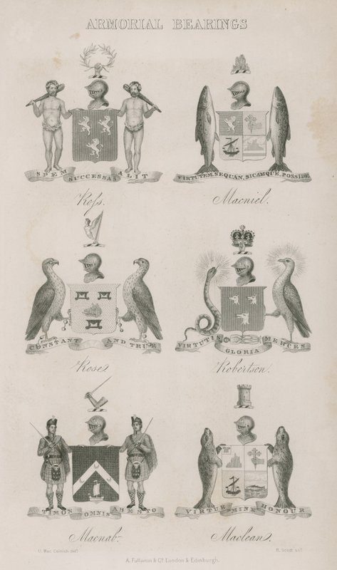 Escudos de armas de English School