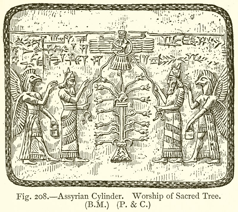 Cilindro asirio. Adoración del árbol sagrado de English School