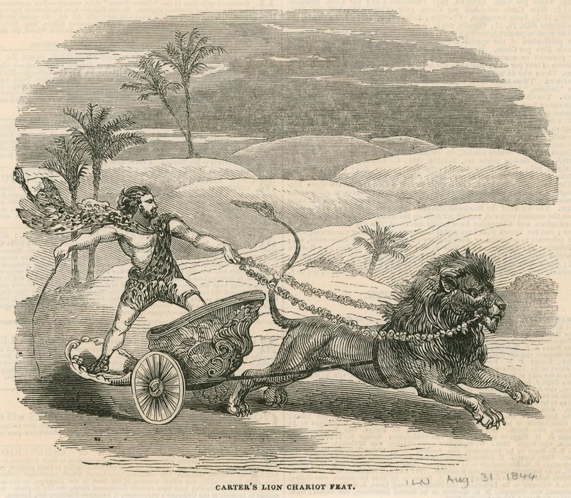Anfiteatro de Astley, Londres - Hazaña del carro de leones de Carter de English School