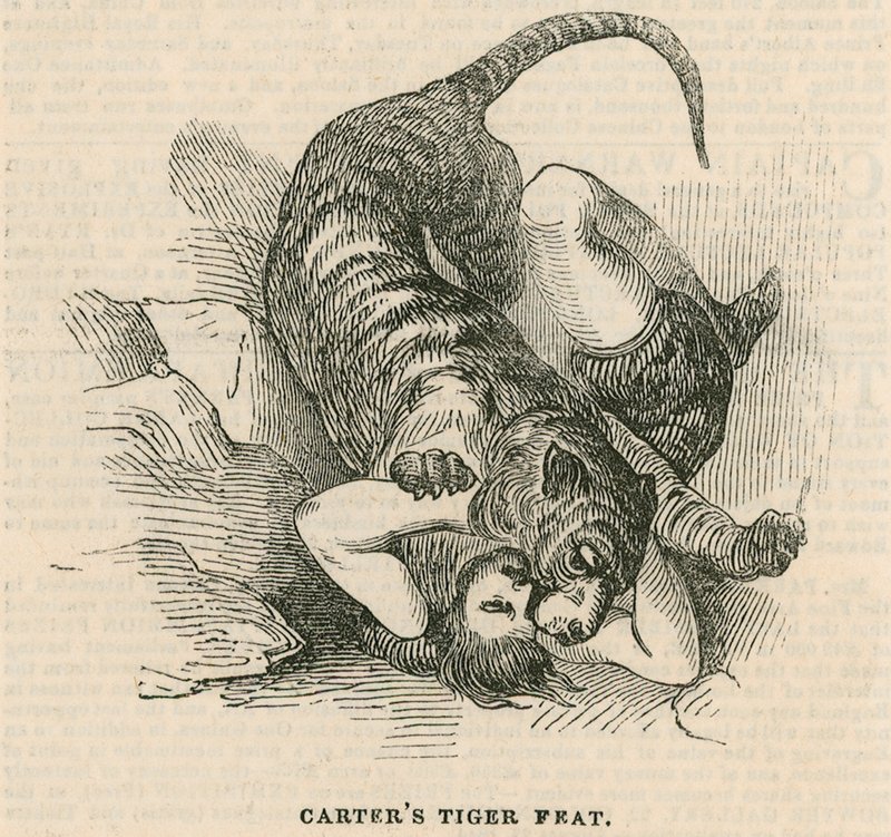 Anfiteatro de Astley, Londres - Hazaña del tigre de Carter de English School