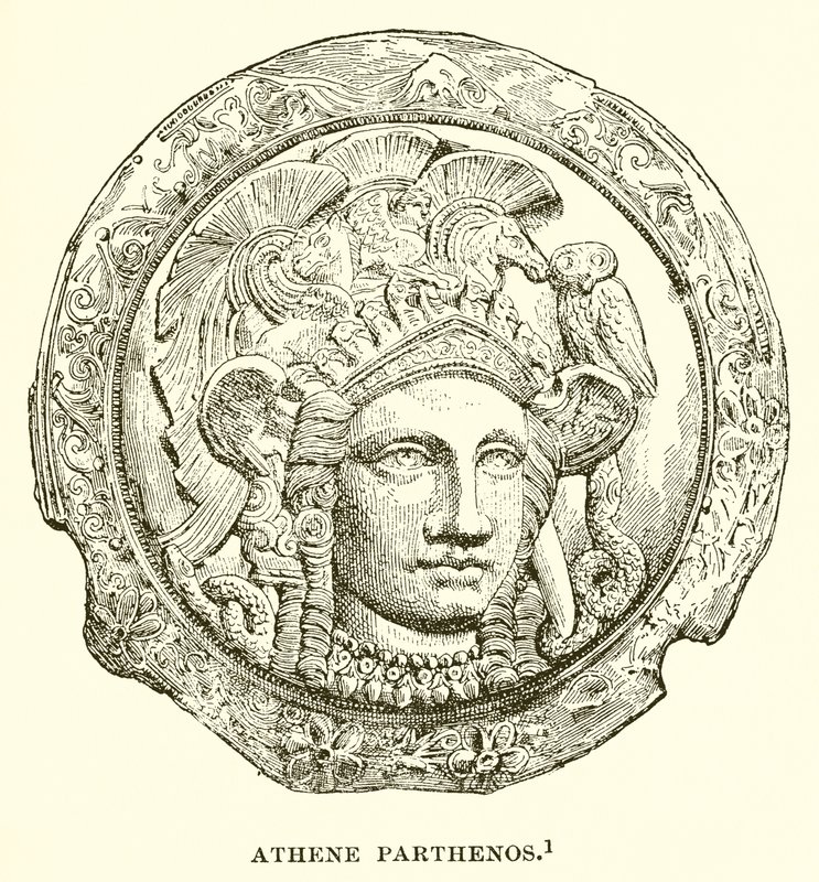 Atenea Partenos de English School