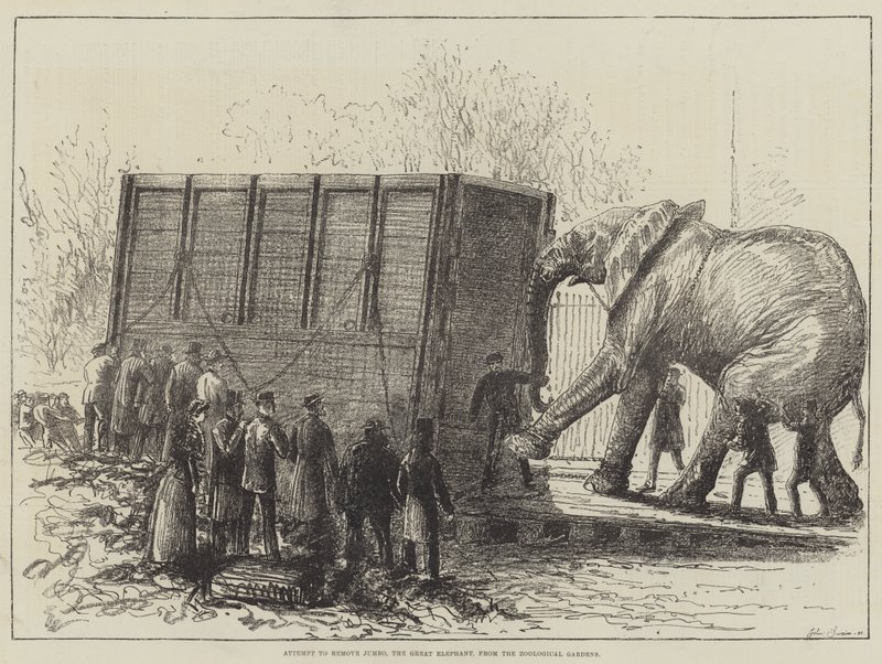 Intento de Remover a Jumbo, el Gran Elefante, de los Jardines Zoológicos de English School