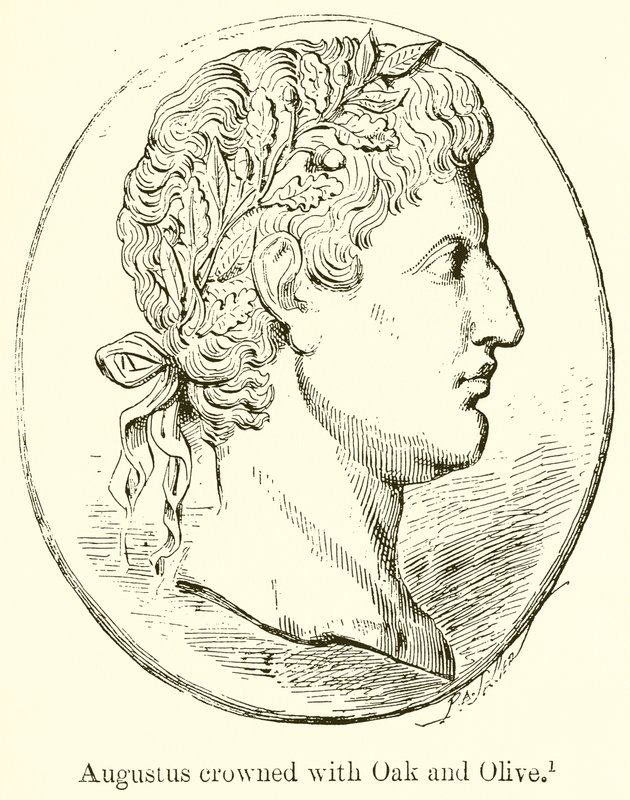 Augusto coronado con roble y olivo de English School
