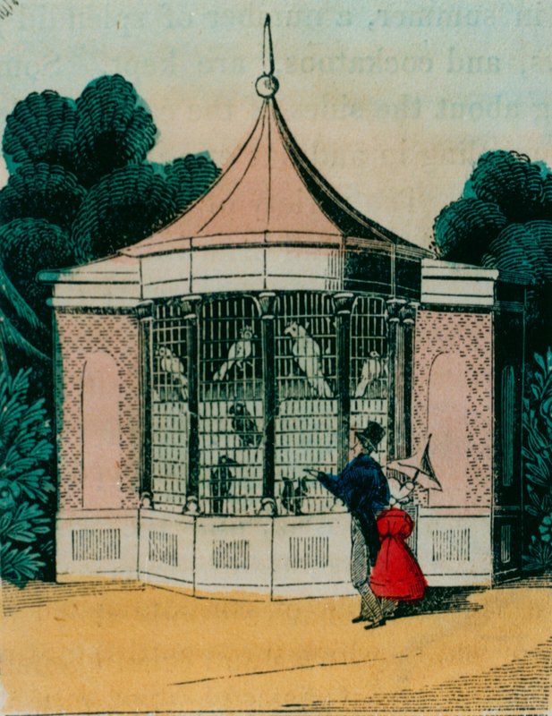 Aviario para loros y cacatúas en el zoológico de Londres. 1840s de English School
