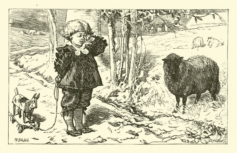 Baa, Baa, Oveja Negra de English School