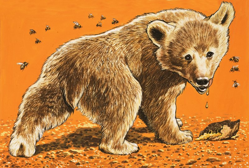 Oso pardo bebé de English School