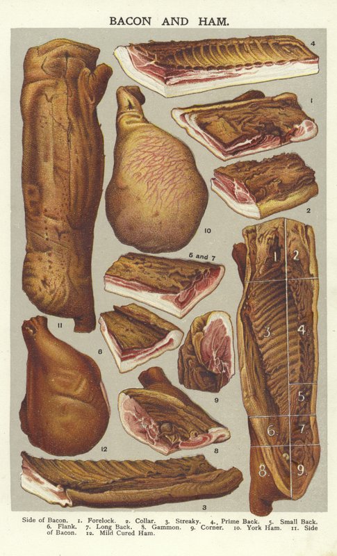 Tocino y jamón de English School