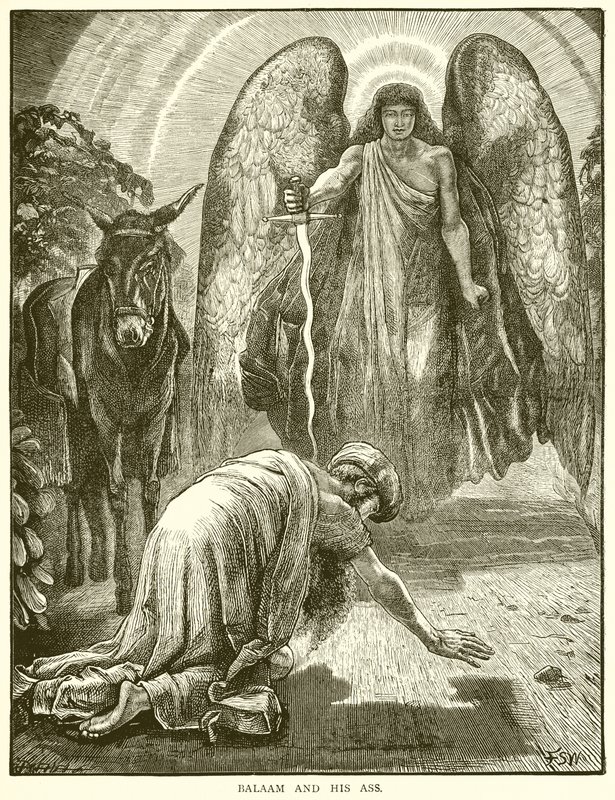Balaam y su asna de English School