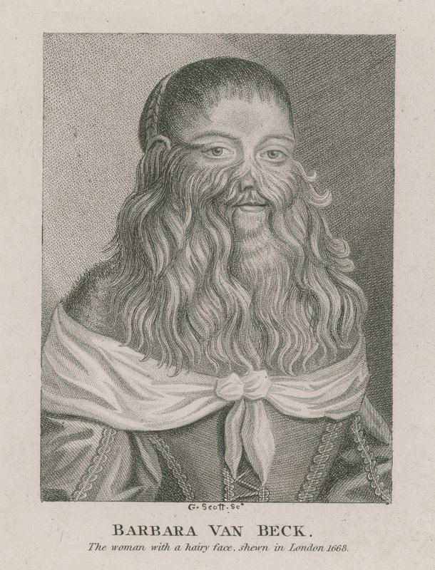 Barbara Van Beck, la mujer con cara peluda, mostrada en Londres, 1668 de English School