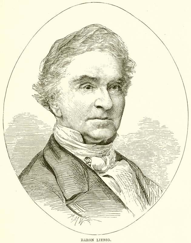 Barón Liebig de English School
