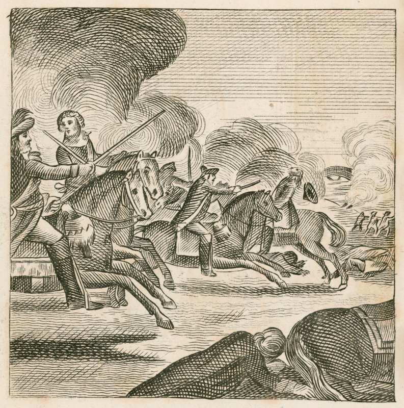 Batalla de la Boyne, Irlanda de English School