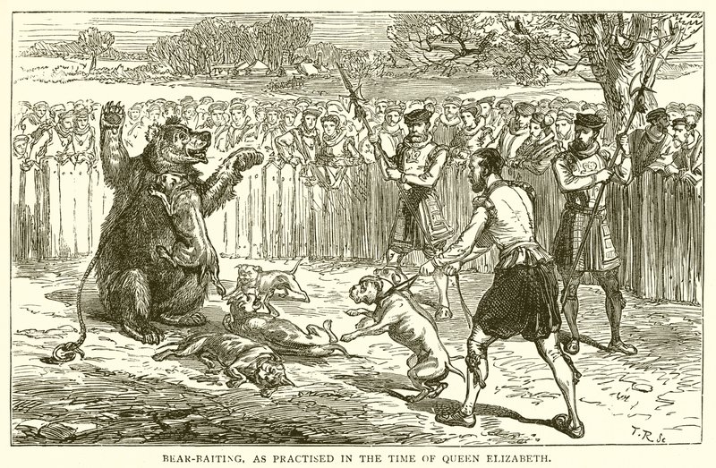 Pelea de osos, como se practicaba en la época de la Reina Isabel de English School