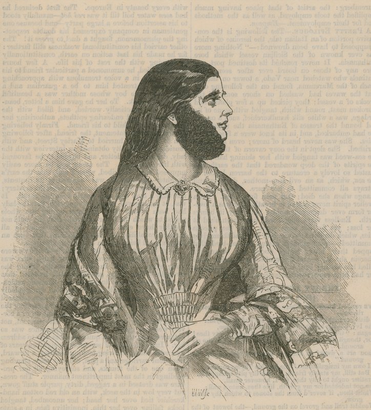 Dama barbuda de English School