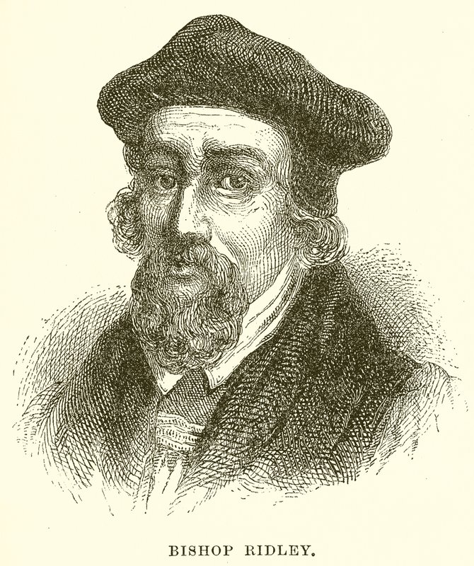 Obispo Ridley de English School