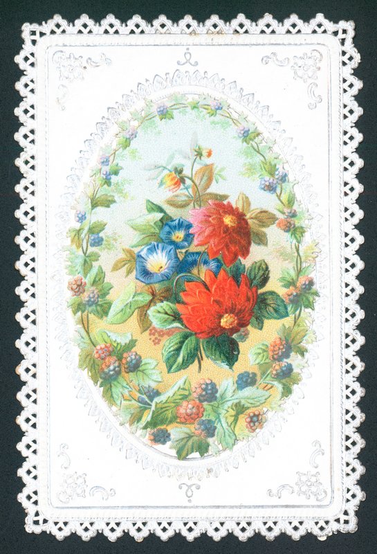 Moras y flores, tarjeta de English School