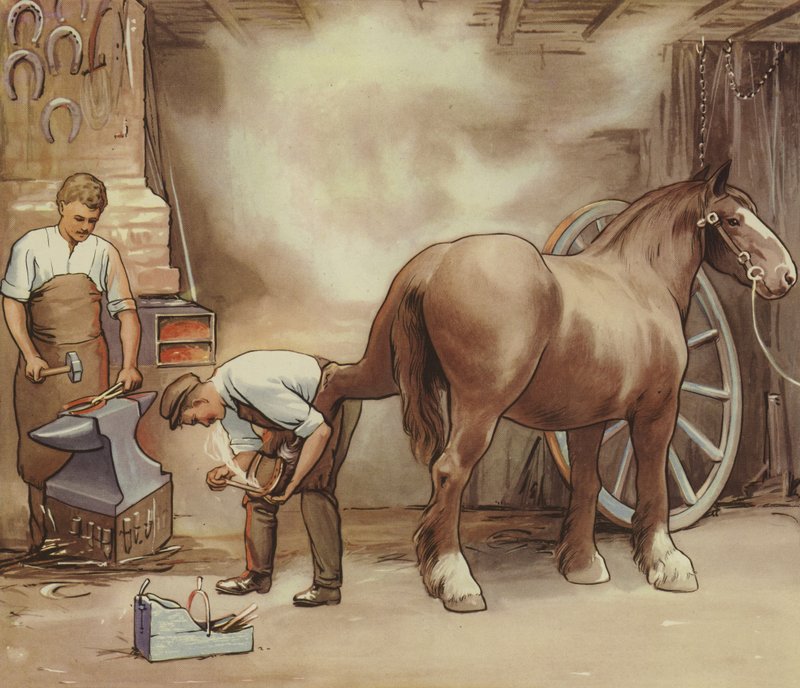 Herrador herrando un caballo (litografía en color) de English School