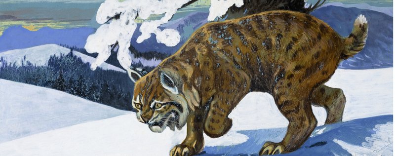 Lince rojo de English School