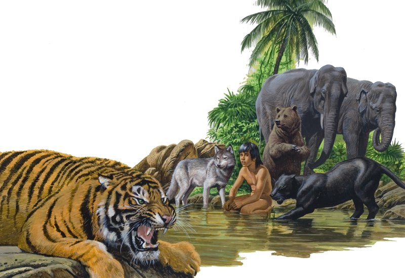Niño y Animales de English School