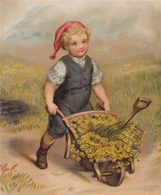 Niño empujando una carretilla llena de flores (cromolito) de English School