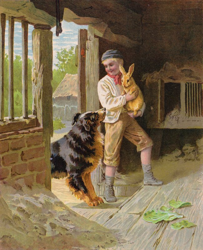 Niño con un perro y un conejo en una granja (chromolitho) de English School