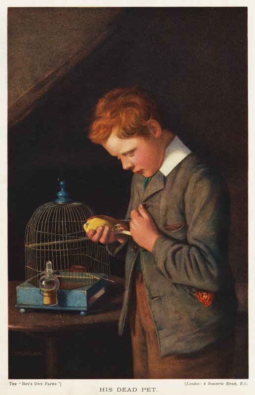 Niño con su canario mascota muerto (litografia en color) de English School