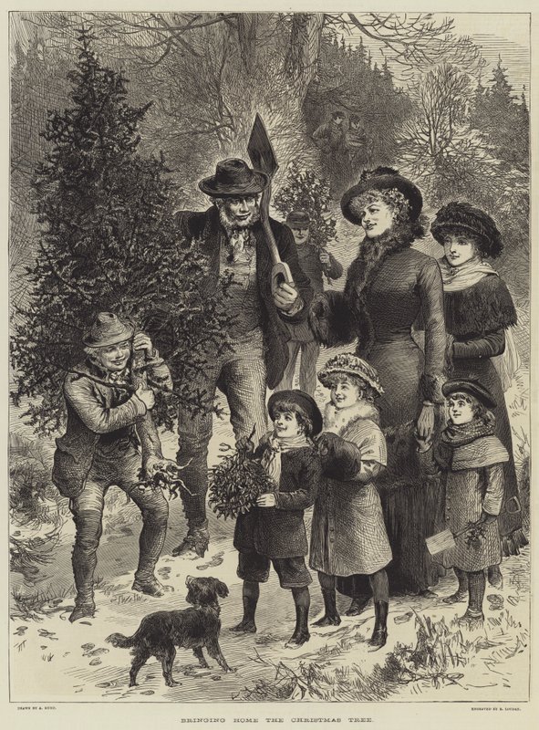 Llevando a casa el árbol de Navidad de English School