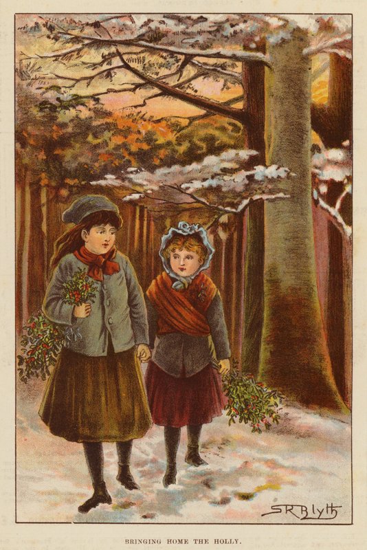Llevando a casa la acebo (color litho) de English School