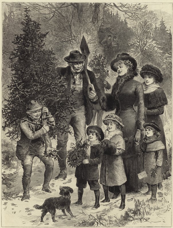 Llevando a casa el árbol de Navidad de English School