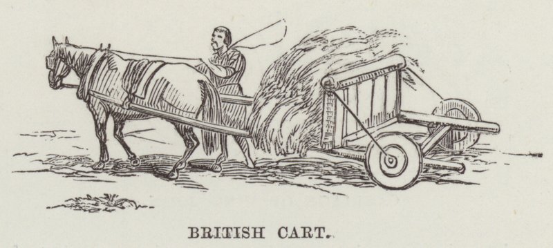 Carro británico (grabado) de English School