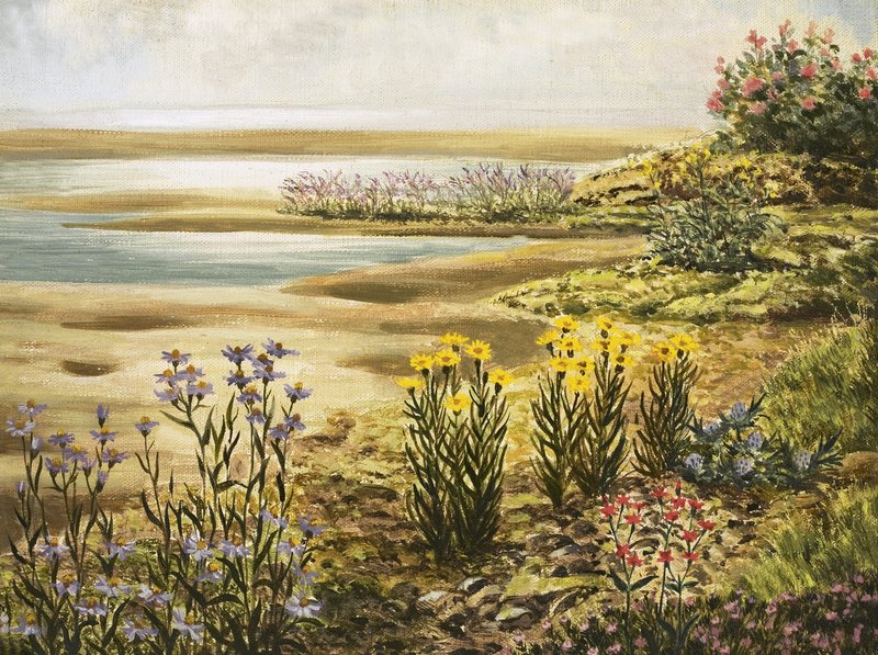 Flores de las salinas británicas de English School