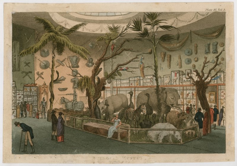 Museo de Bullock de English School
