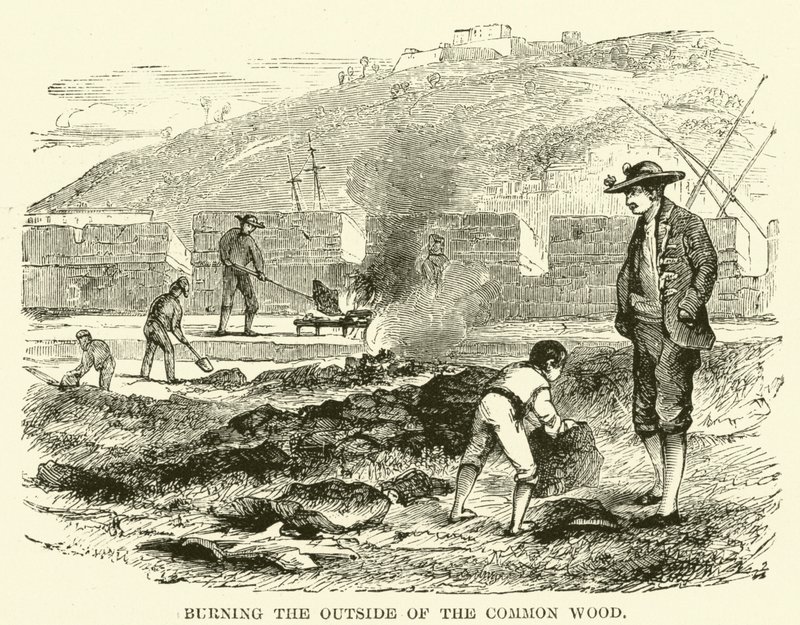 Quemando el exterior de la madera común de English School