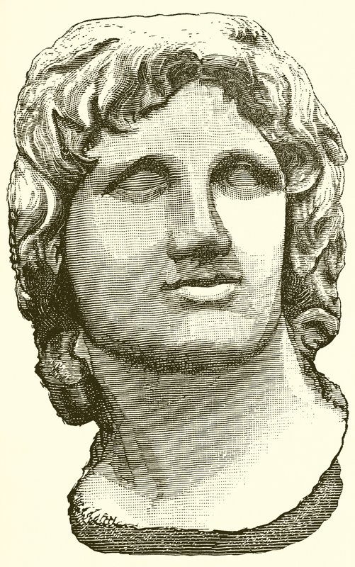 Busto de Alejandro Magno de English School