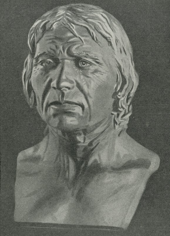 Busto de un hombre de Cro-Magnon de English School