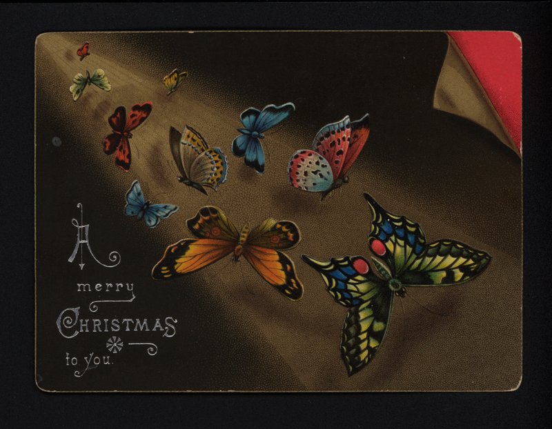 Mariposas, tarjeta de felicitación navideña, finales del siglo XIX o principios del XX (cromolito) de English School
