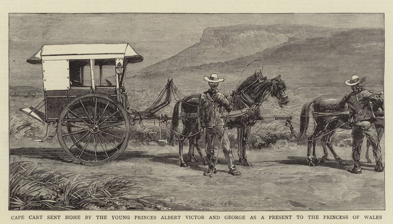 Carro del Cabo enviado a casa por los jóvenes príncipes Alberto Víctor y Jorge como regalo para la Princesa de Gales (grabado) de English School