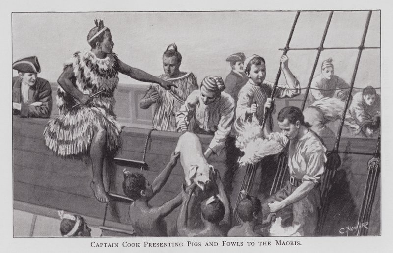 El Capitán Cook Presentando Cerdos y Aves a los Maoríes de English School