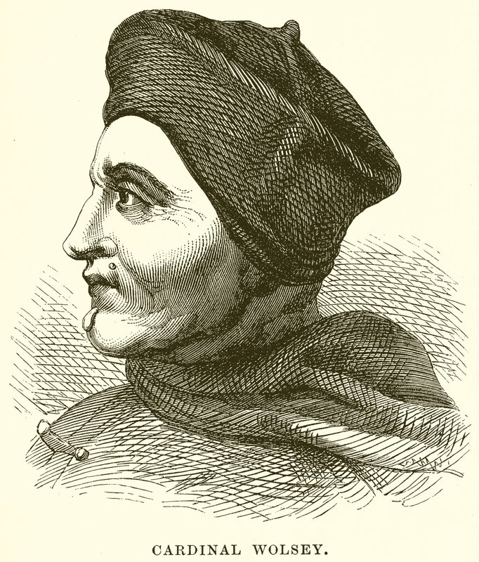 Cardenal Wolsey de English School