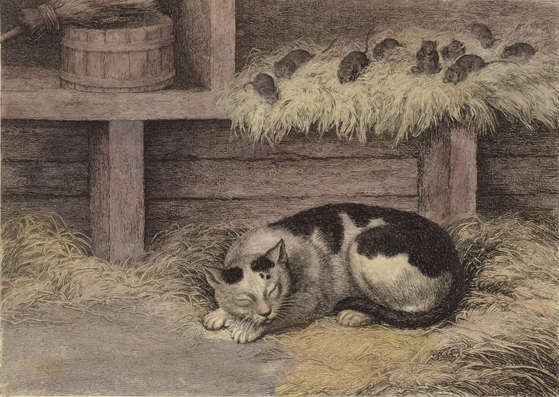 Gato y ratones en un granero de English School