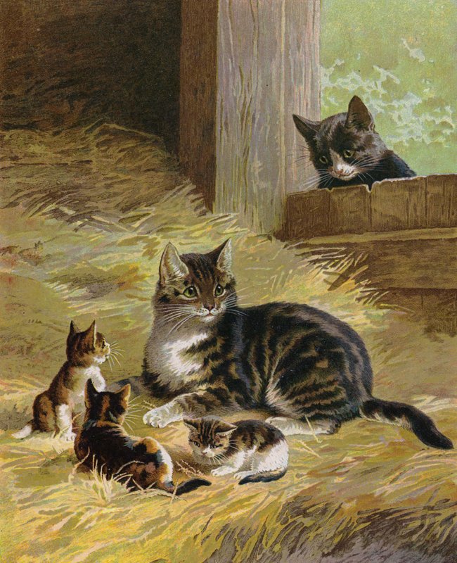 Gato con sus gatitos en un granero (chromolitho) de English School