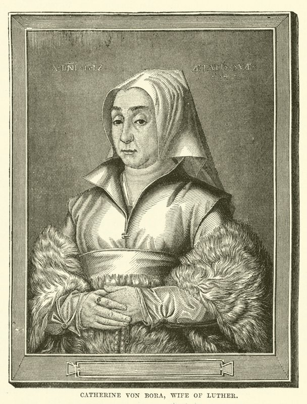 Catalina von Bora, Esposa de Lutero (grabado) de English School