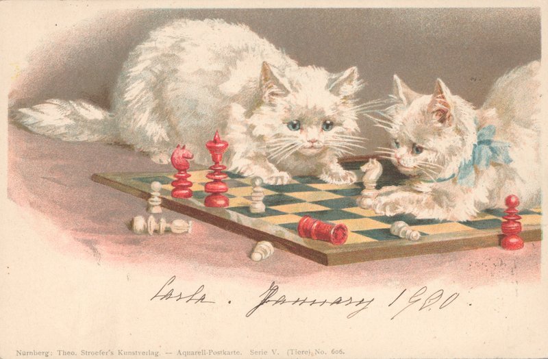 Gatos jugando al ajedrez de English School