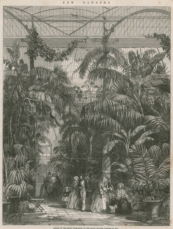 Centro de la Gran Casa de las Palmas en los Jardines Botánicos Reales de Kew de English School