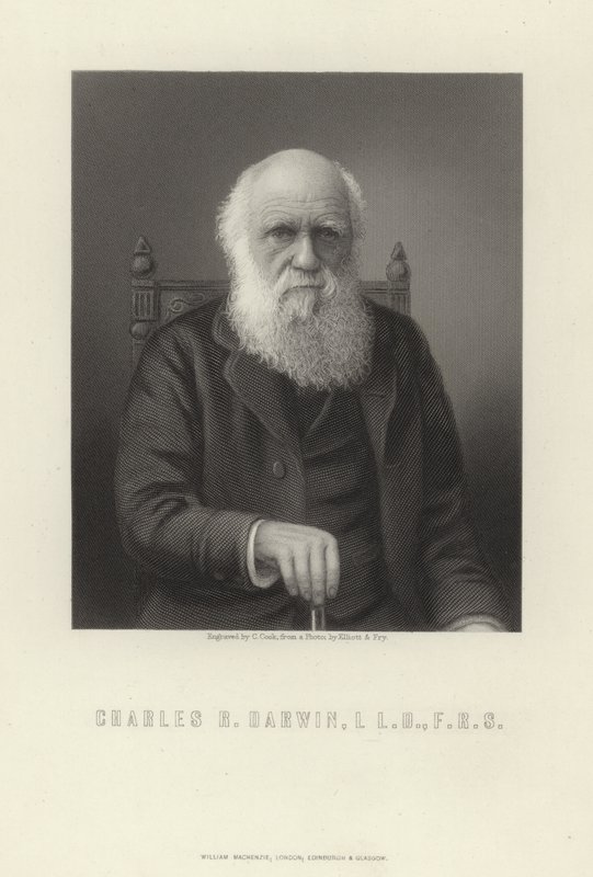 Charles R. Darwin de English School