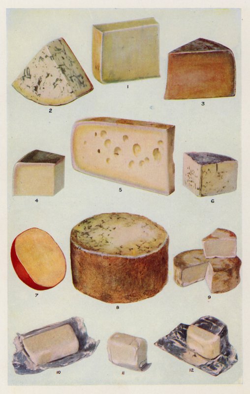 Cheddar; Gorgonzola; Doble Gloster; Parmesano; Gruyere; Roquefort; Holandés; Stilton; Camembert; St Ives; Nata (litografía en color) de English School